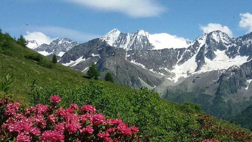 Hotel Ristorante Milano Vermiglio Dış mekan fotoğraf